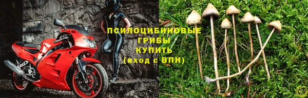 гашишное масло Арсеньев